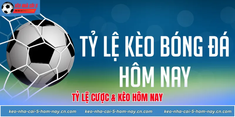 Cập nhật tỷ lệ cược và kèo hôm nay cho người chơi