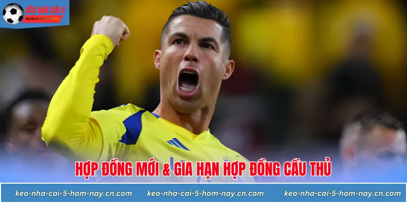 Hợp đồng mới & gia hạn hợp đồng cầu thủ