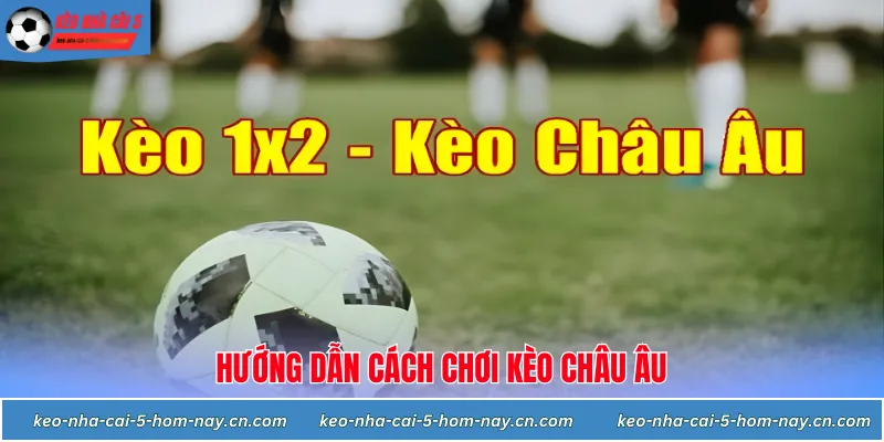 Kèo Châu Âu là gì? Hướng dẫn Giải mã ký hiệu 1x2 trên bảng kèo