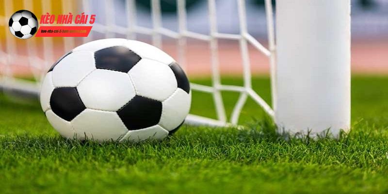 Những loại kèo nên chơi khi cá độ bóng đá