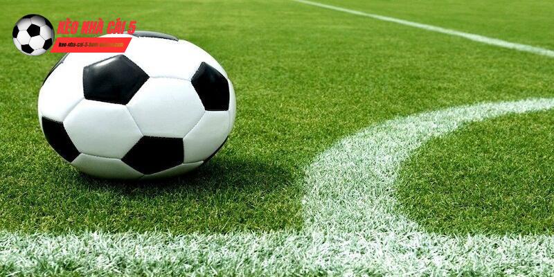 Tổng quan website kèo nhà cái 5