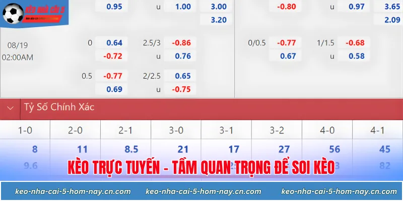 Tầm quan trọng của việc hiểu cách đọc các loại kèo trực tuyến
