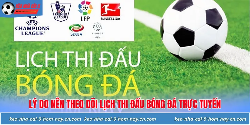Lịch thi đấu bóng đá trực tuyến cập nhật nhanh chóng chính xác