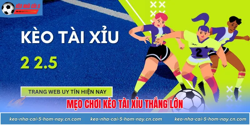 Mẹo chơi kèo tài xỉu thắng lớn cho các tân binh