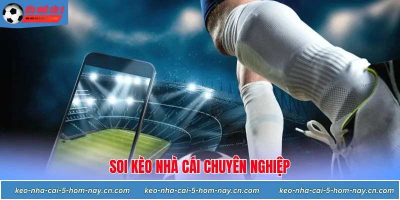 Soi kèo nhà cái: Kỹ năng đọc vị bảng tỷ lệ và chiến thuật về bờ an toàn