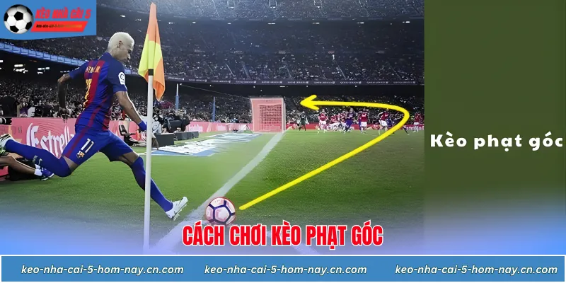 Soi kèo phạt góc: Kỹ thuật phân tích và chiến thuật bách chiến bách thắng